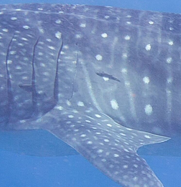 9daddff9-ae70-42d6-9dfa-dd2610761dc3