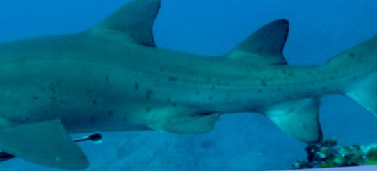 6b0050bf-a80e-4665-8006-603cf93db6f1