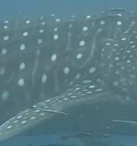 199db7b4-cb67-4f97-8b94-abfa37c4d811