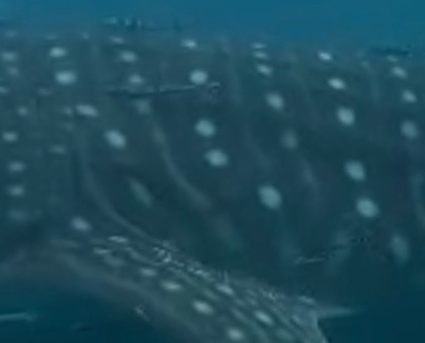 199db7b4-cb67-4f97-8b94-abfa37c4d811