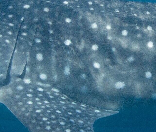 5b2c72a2-e335-4f4f-a183-b9bb54320350