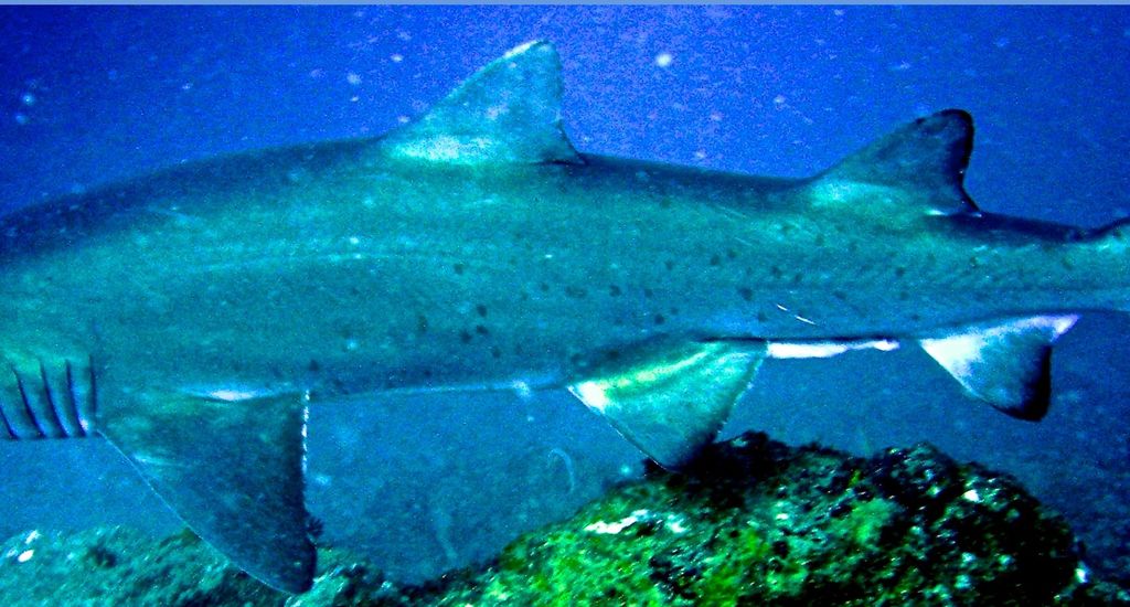 7118d363-1923-4c4f-b72c-b6d7c298ba08