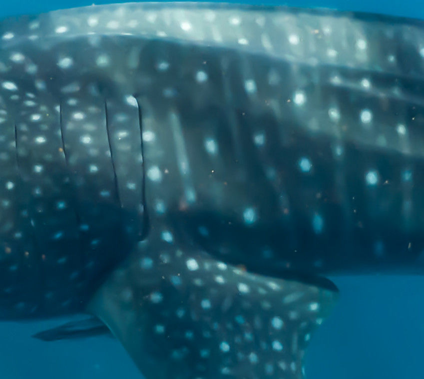 8e49bed7-edaa-47bb-866c-c275b975ae4e