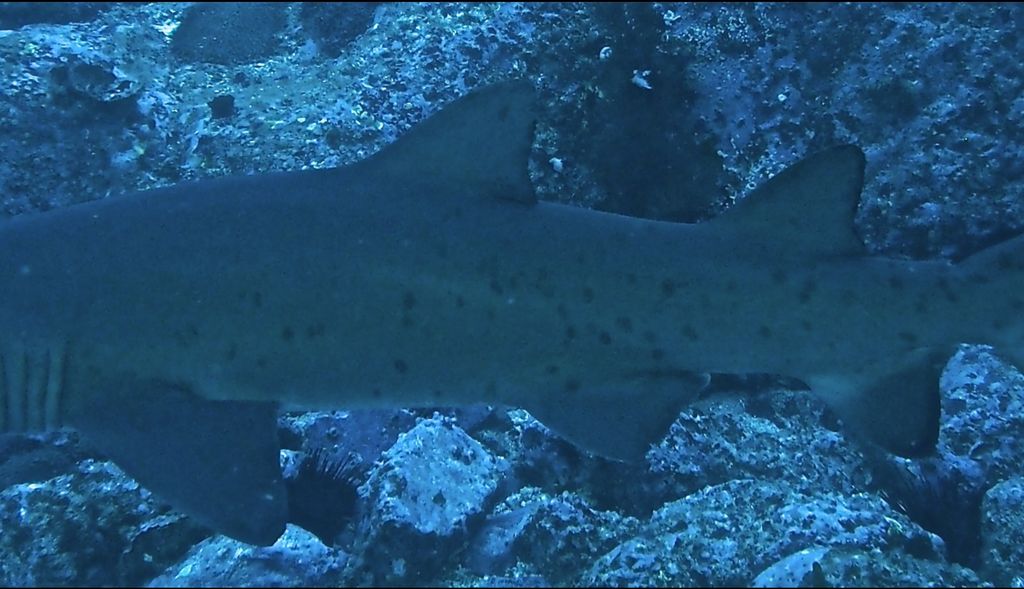 094d10fb-ebad-4b51-802f-fc0c1ef1149e