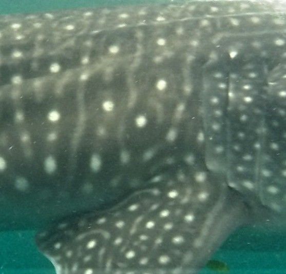 2dad5e7b-b647-4a1a-8471-eaed282c3eab