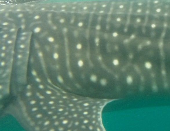 2dad5e7b-b647-4a1a-8471-eaed282c3eab