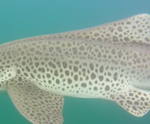 82278b1c-d8d8-44c4-bd4c-a68dfa0543b0