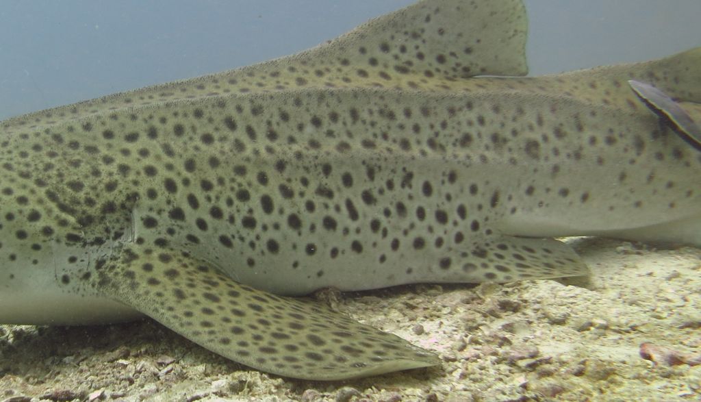 a82da906-0da4-4b78-949b-eb5895d88edd