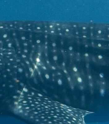 6f4d6dcf-771e-4585-b557-92425fd79f79