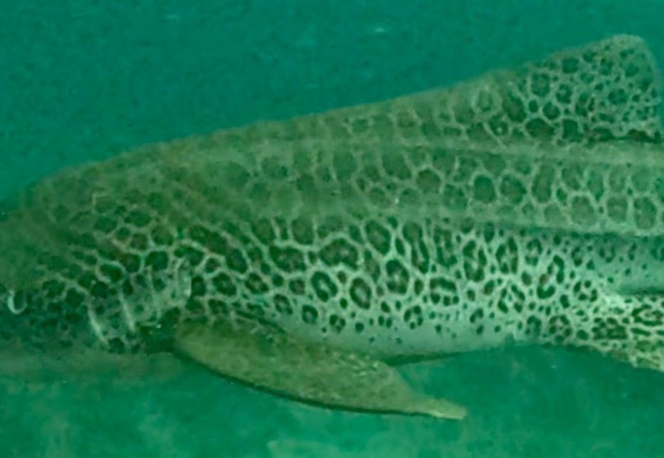 c91419c8-9001-436e-9e49-48d96167deba