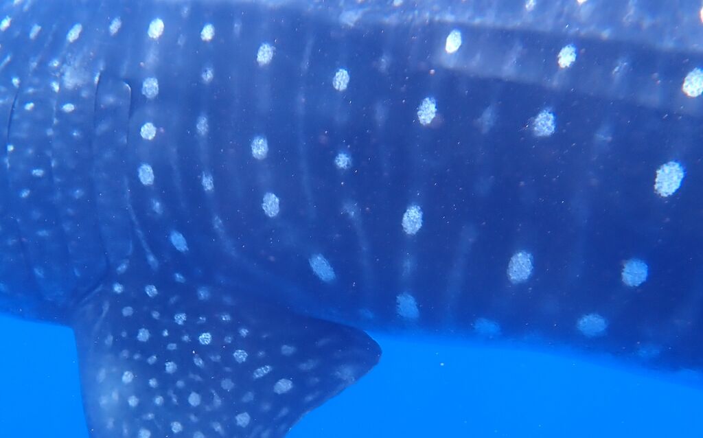 b7a88dcd-78e5-43e7-9cca-7c9e9de55aae