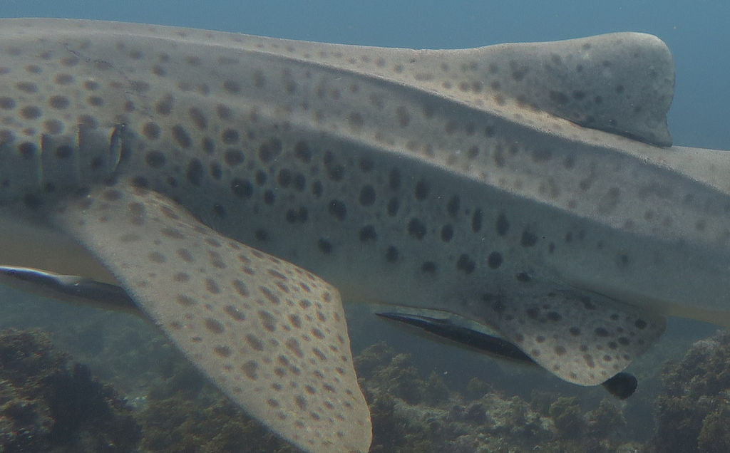 ecfd73b2-6955-486a-be16-7c52a573ae9f