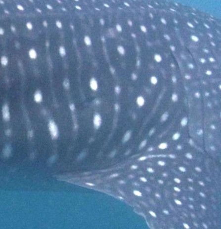 becf541a-1bf2-4a32-8472-e46910c15089