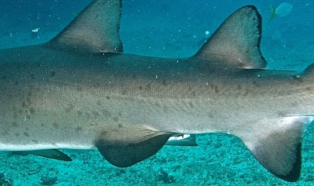 b965b5e6-d382-409e-9dc6-b0ebb62eb3c3