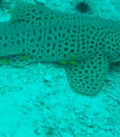 81b5d9d8-afc5-48ab-a307-c3631695f046