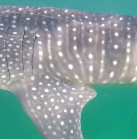 5cfb0be5-64df-4680-8ee9-f1a580609477