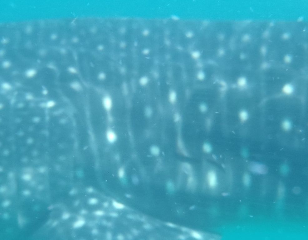 05a17808-3a1f-478d-8c6e-889cb906b93e