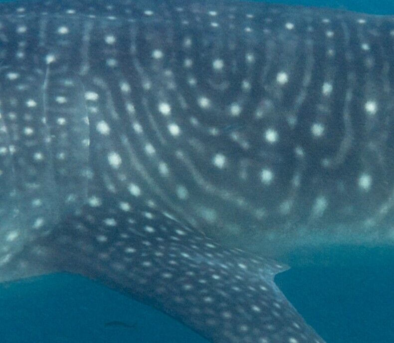 41f205be-2e6b-4713-a773-2ebd80ed84ff