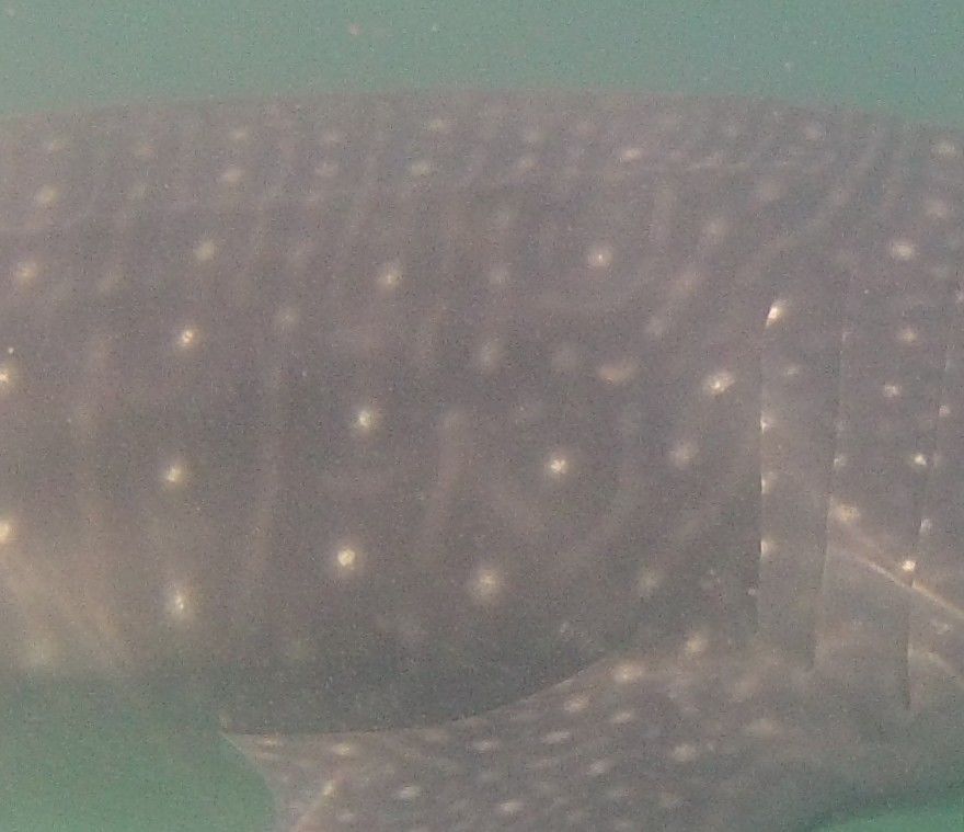 ae31de93-1d72-4279-a96e-d96f5cd5c1ed