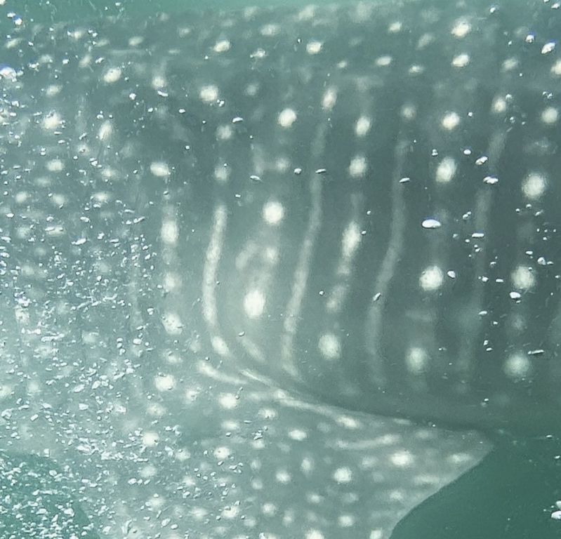 632741e8-208c-40ae-b08a-fba289c9ad25