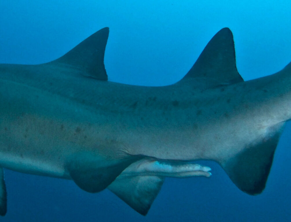 65b8b91d-9b03-4a0b-a502-690fb135c393