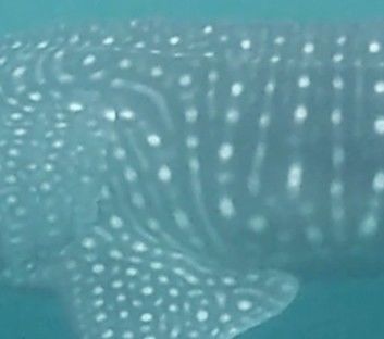 4f126239-a4f4-4ee0-98cf-df8d40ed6a6d