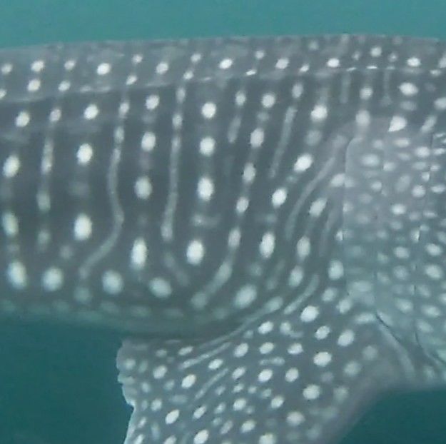 4f126239-a4f4-4ee0-98cf-df8d40ed6a6d