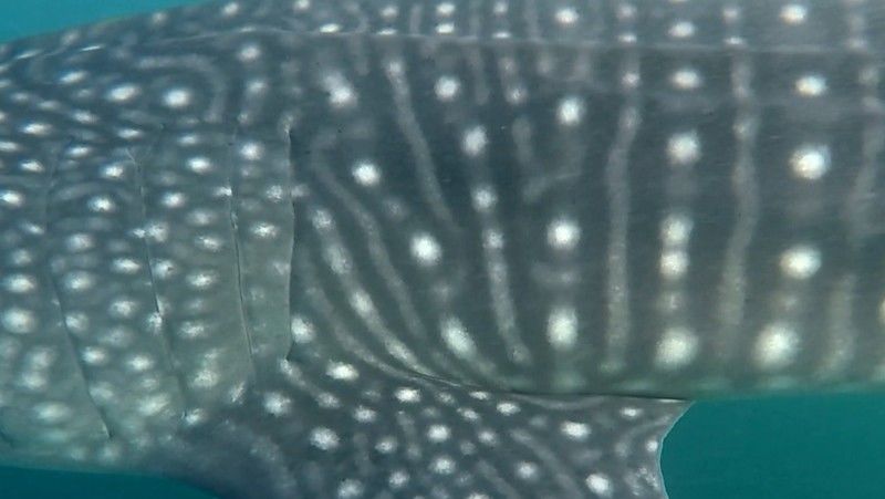 a041e620-9c67-47b1-ab7e-bc611806dc58