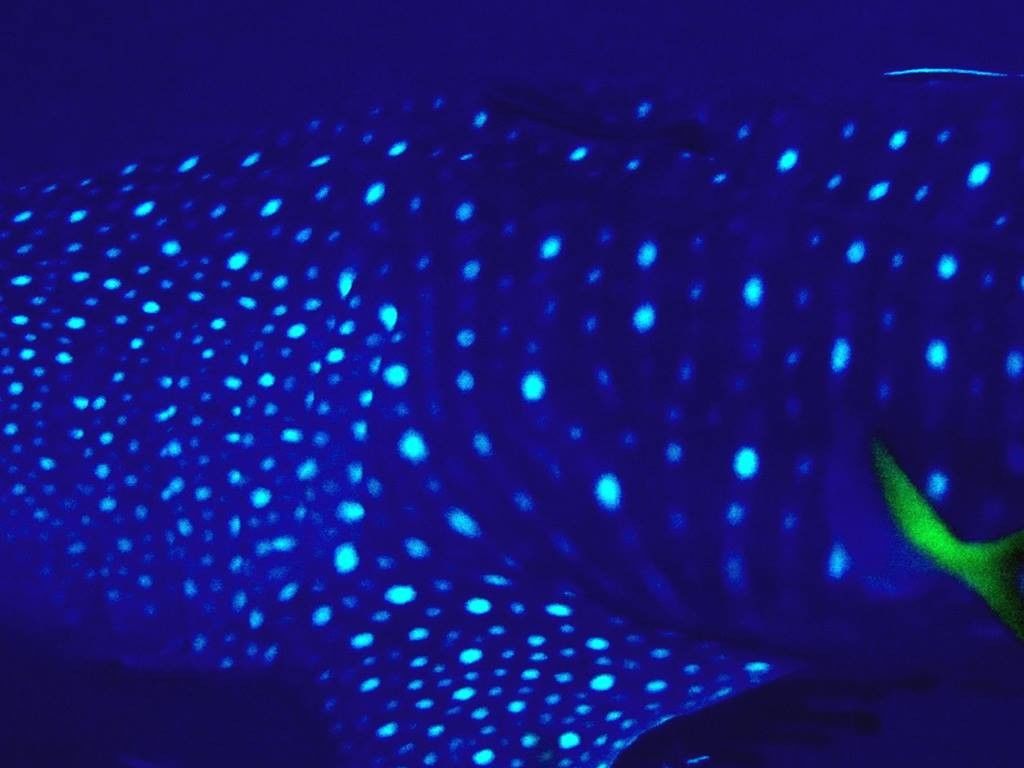 fef4a496-92ee-49c6-b5ed-e27c9fcaa88c