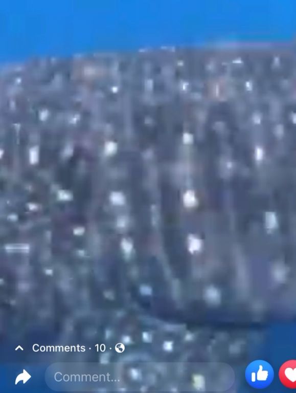 7c78a0ef-5c7c-4aac-b4dc-a1f58413896f