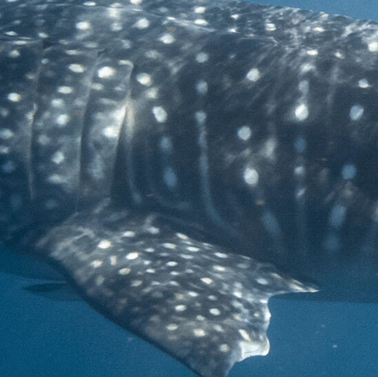 046bd8a4-6a1b-459b-a2d1-c6655bd9365c