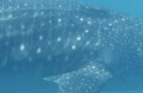 774a8aae-207f-495a-a8e9-c1f29d5a4bef