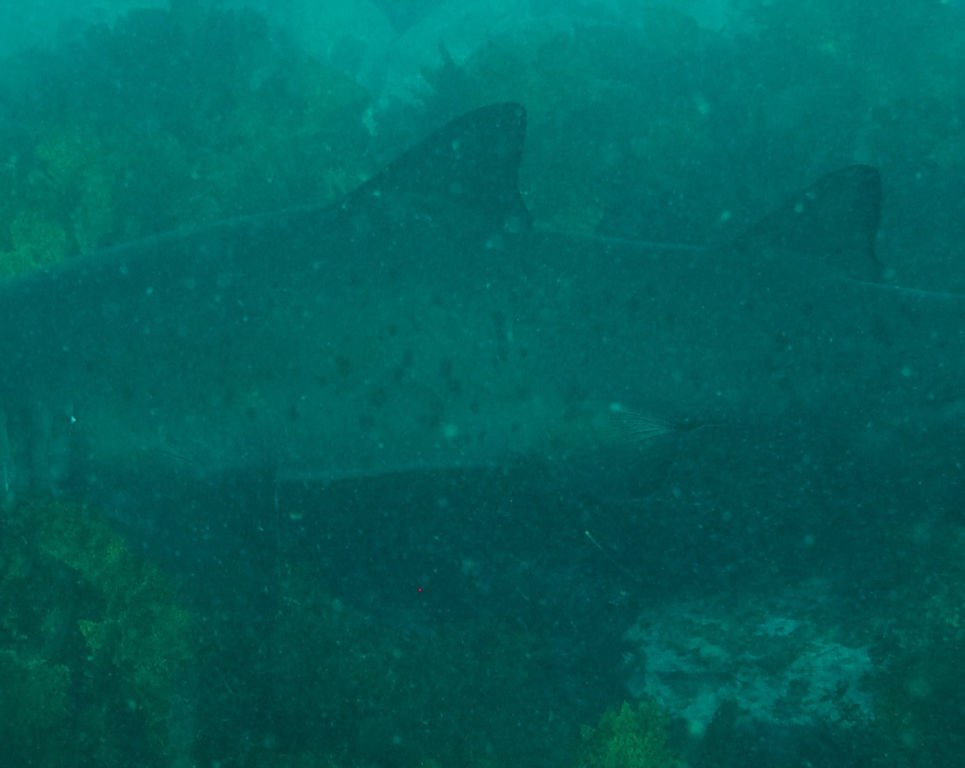 835b77aa-9e1e-4e36-af9a-60887300d937