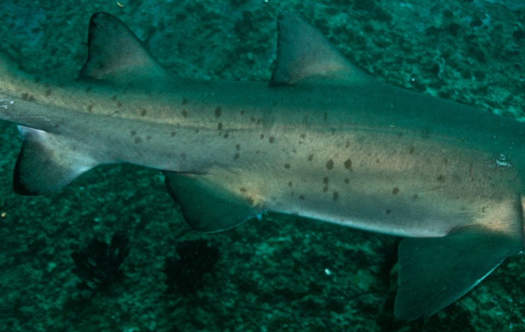 b20676d3-2adf-457e-849d-f80623ad6fc1