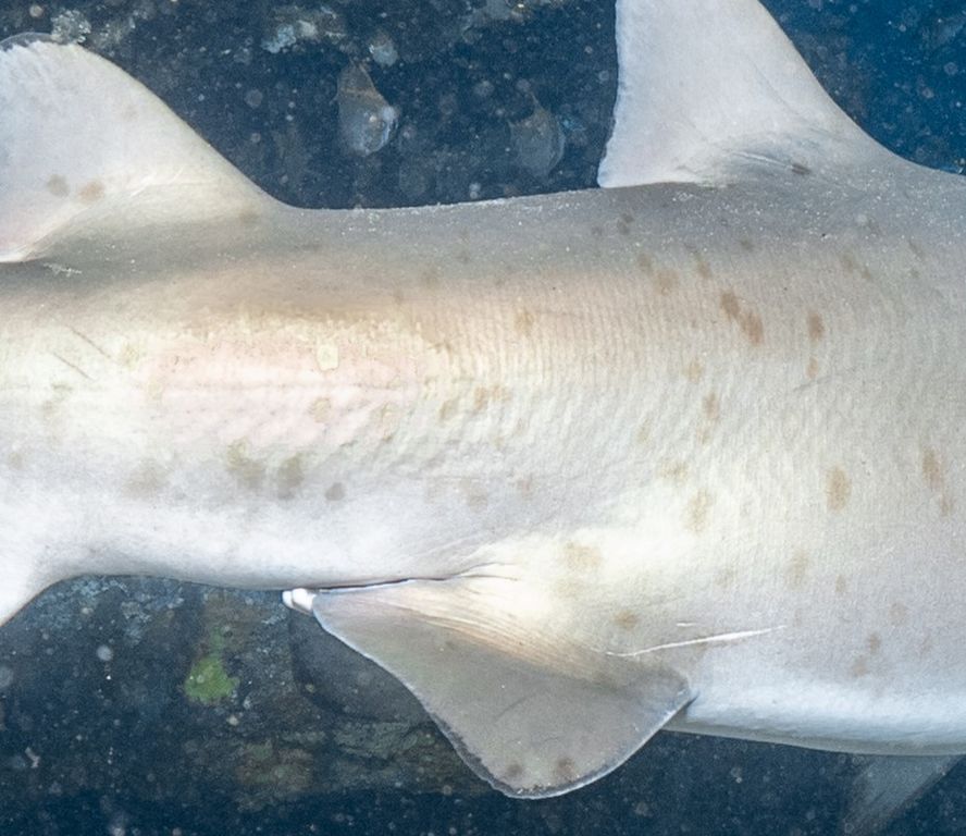 0a22e1de-e07b-4a18-8fb1-326cf1d3a85d