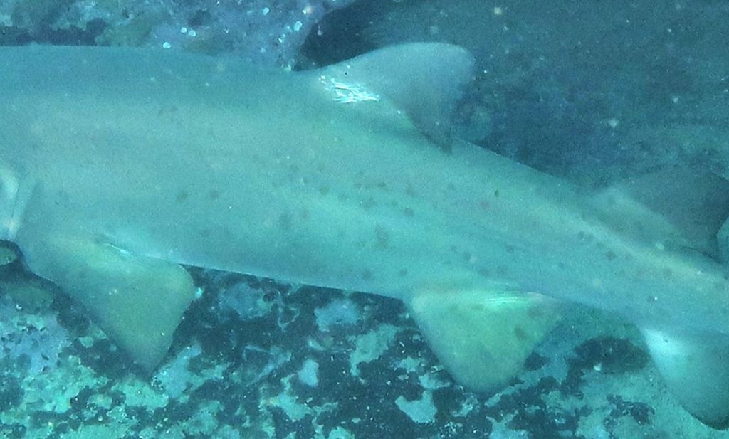 147cd9d3-97ce-4c21-9b7c-809c36fcc10a