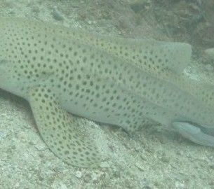 462d8520-e5f7-4ca5-aeee-f55d40f935ca