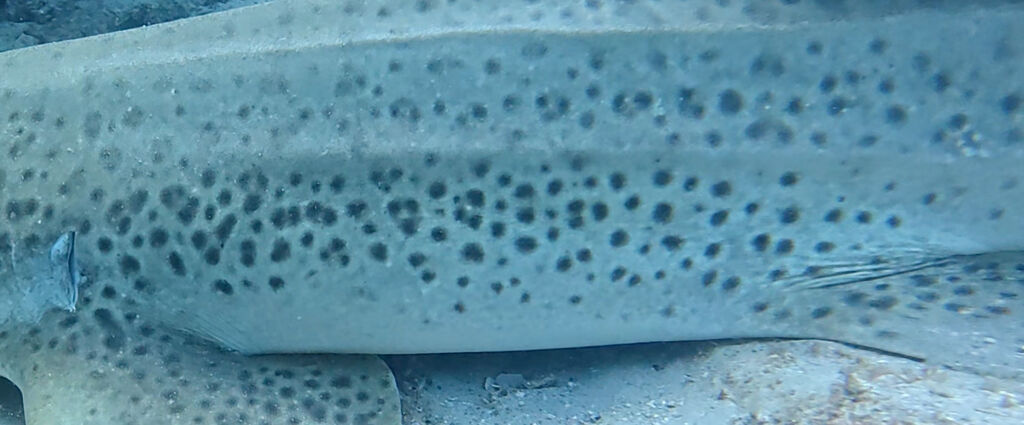 b775d9a8-2131-4fbc-9751-e53bc3f5d190