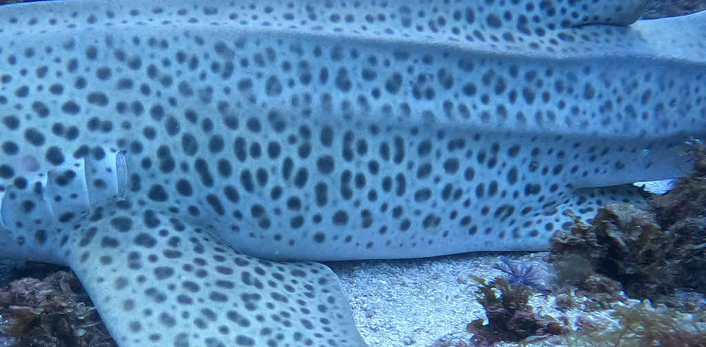 098cfc3f-e7c1-4857-b9ff-7a1d8ce08e29