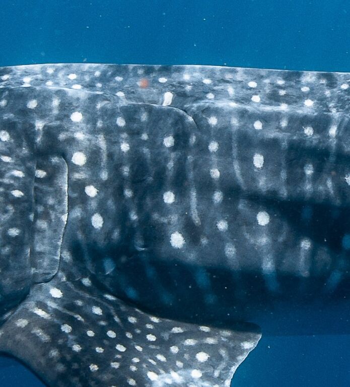 e2e44c9e-1c46-408a-b3d6-9f908681dc23