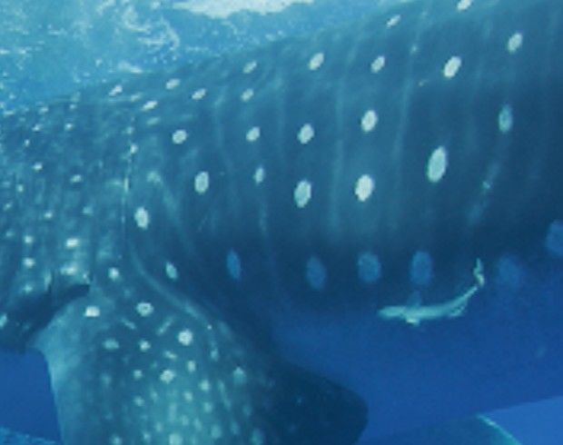 6f6bc435-2e07-46a8-9870-590bdd242676