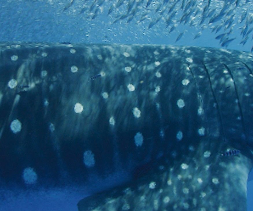 6f6bc435-2e07-46a8-9870-590bdd242676