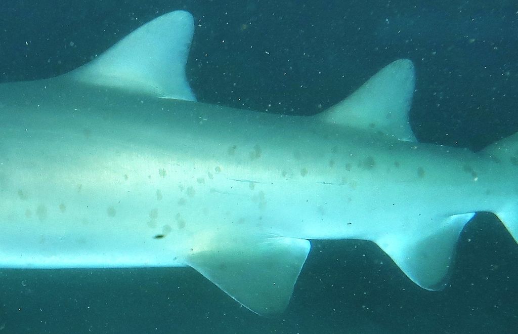 6fabf199-4d0f-4edd-bb9d-99376e14cf62