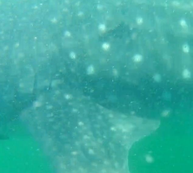 573b3961-2fc1-4702-ac4e-67086bccca9f