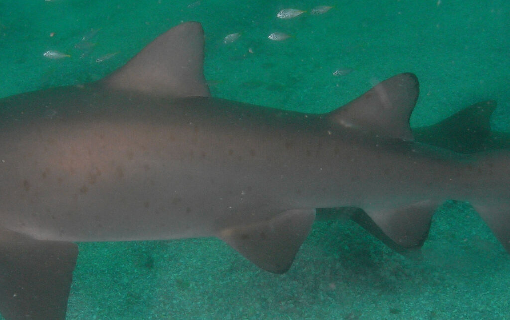 78abc743-22ca-4b16-8c14-7304fd15fd7a