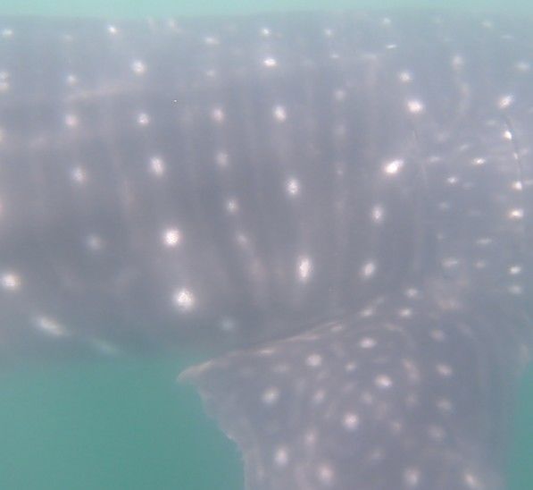 0bd62c40-b995-4120-99ad-15342ee298ac