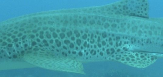 cdabd84c-d01d-44fc-af0f-d6bce63cb4ee