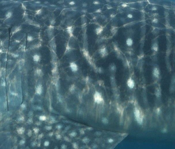 ec9ad373-cc5d-43d9-9726-360f46b8efbc