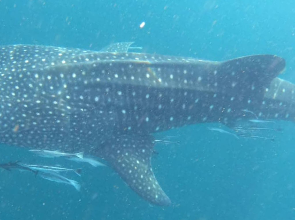 19617ae2-915a-4008-8b6a-fcfb57a6b3b7