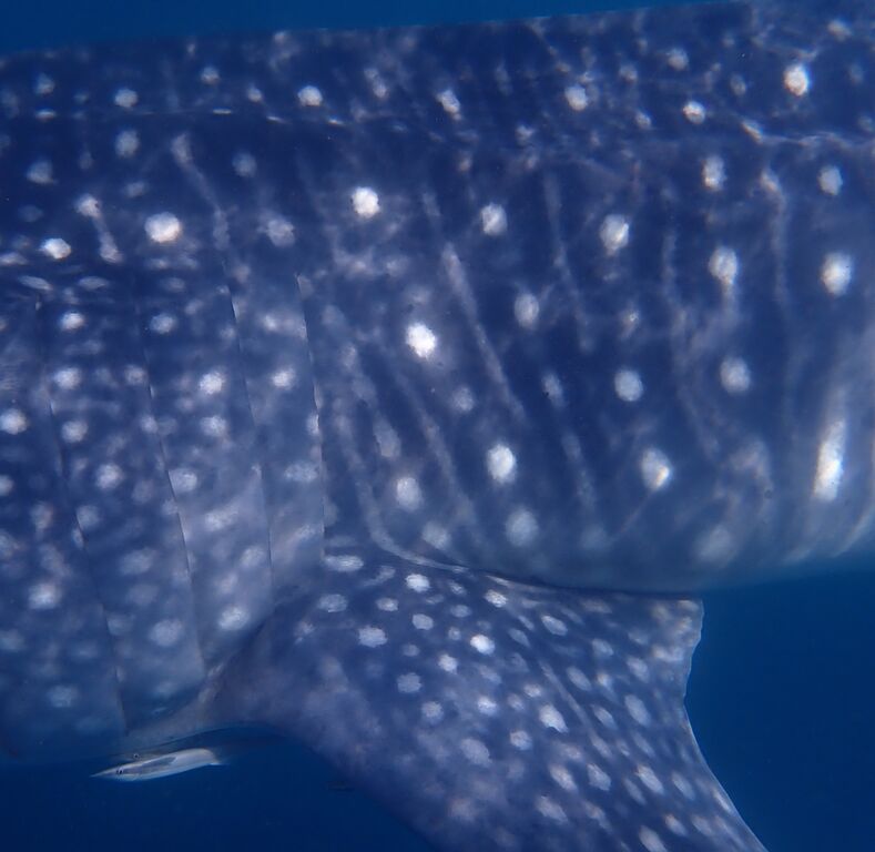 b6583efc-eaed-4688-baae-d98b09f23bdb